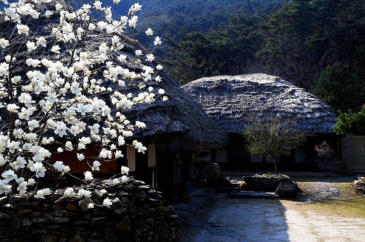 http://www.maewoldang.com/shop/se2/imgup/1648783846_76964.jpg